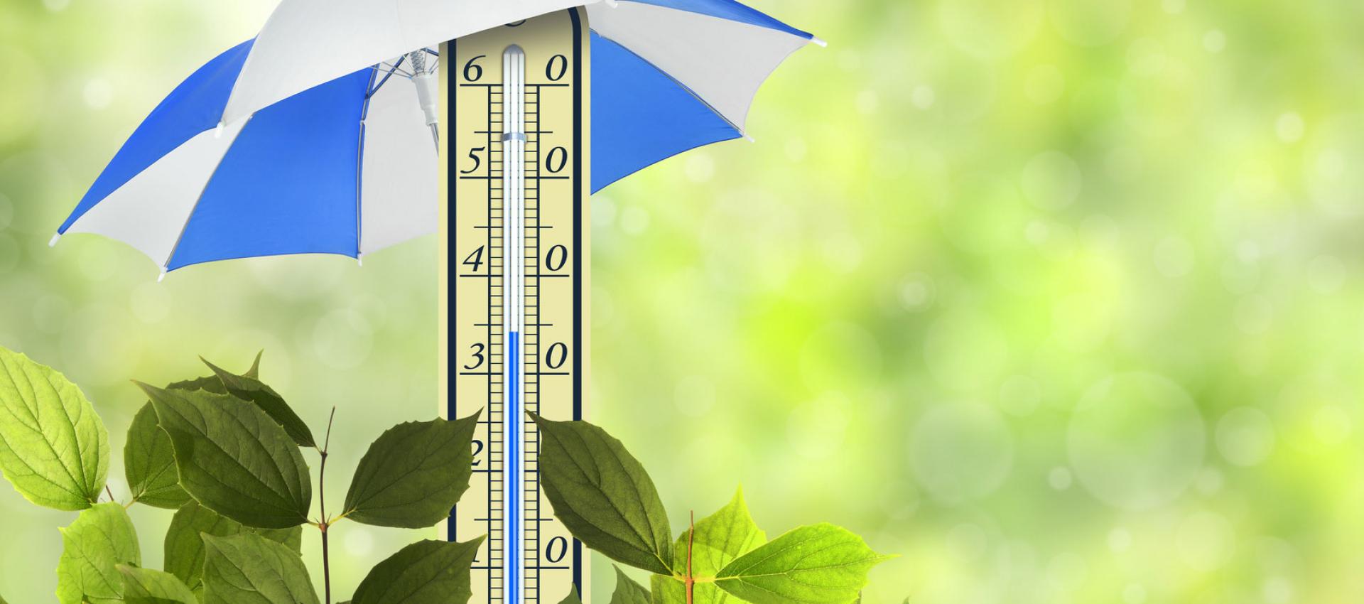 Spadek temperatury dzięki folii okiennej