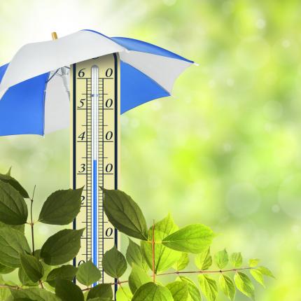 Spadek temperatury dzięki folii okiennej